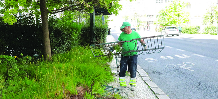 Obras de Requalificação na Rua Braamcamp 
