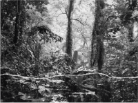 Exposição "Paisagens Interrompidas"
