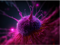 Ciência na BACS Graúdos