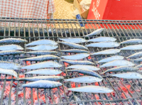 Arraial Santo António 2026
