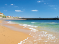 Verão Sénior 2025 
